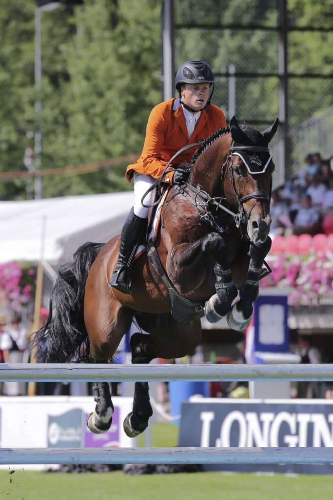 Eldorado vd Zeshoek TN Stallion Eldorado vd Zeshoek TN Stallion